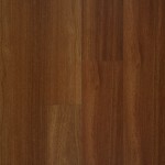 NAF_AST_D1011_651_AutumnSapelli