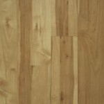 NAF_MFL_60182_Middlebury