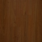 NAF_MFL_87111_Trukee